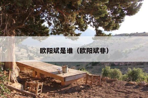 欧阳斌是谁（欧阳斌非） 第1张