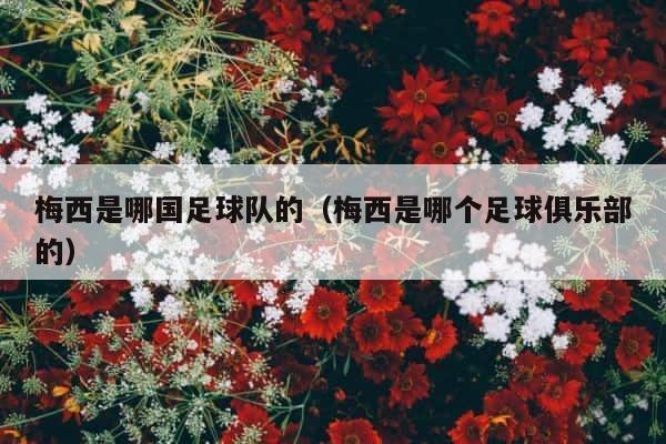 梅西是哪国足球队的（梅西是哪个足球俱乐部的） 第1张