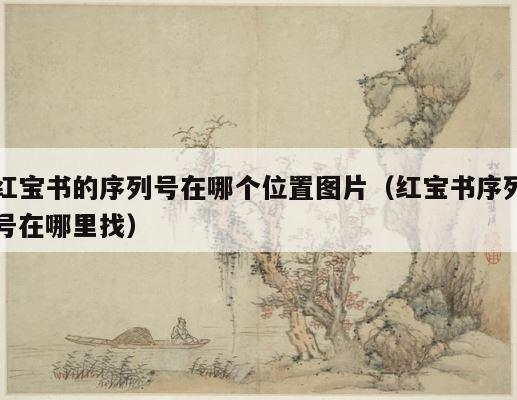 红宝书的序列号在哪个位置图片（红宝书序列号在哪里找） 第1张