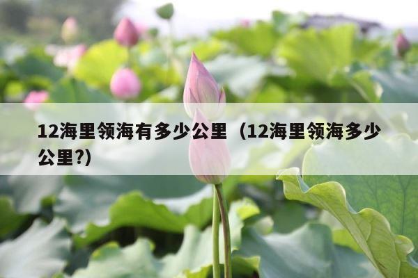 12海里领海有多少公里（12海里领海多少公里?） 第1张