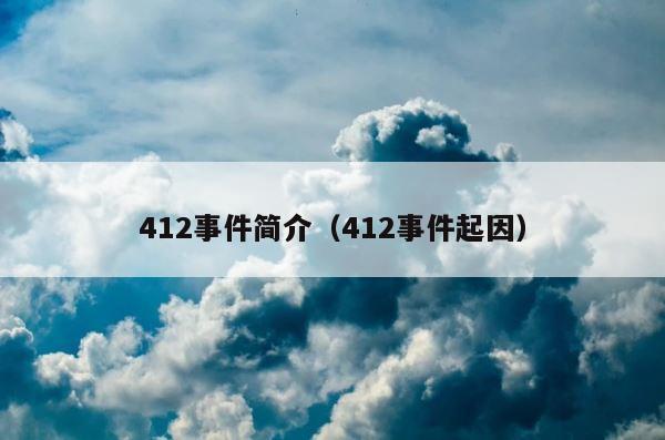 412事件简介（412事件起因） 第1张