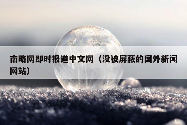南略网即时报道中文网（没被屏蔽的国外新闻网站） 第1张