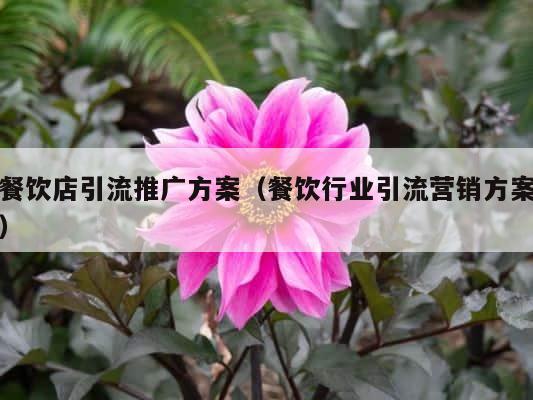 餐饮店引流推广方案（餐饮行业引流营销方案） 第1张