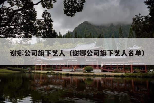 谢娜公司旗下艺人（谢娜公司旗下艺人名单） 第1张