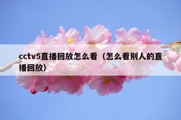 cctv5直播回放怎么看（怎么看别人的直播回放） 第1张