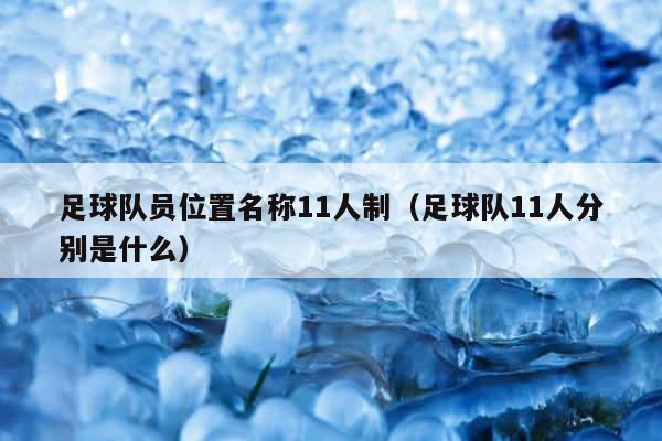 足球队员位置名称11人制（足球队11人分别是什么） 第1张