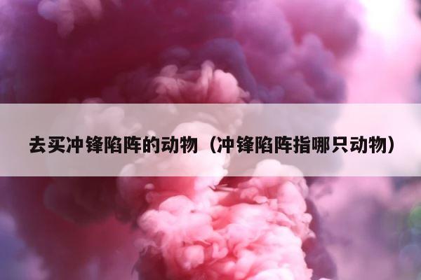 去买冲锋陷阵的动物（冲锋陷阵指哪只动物） 第1张