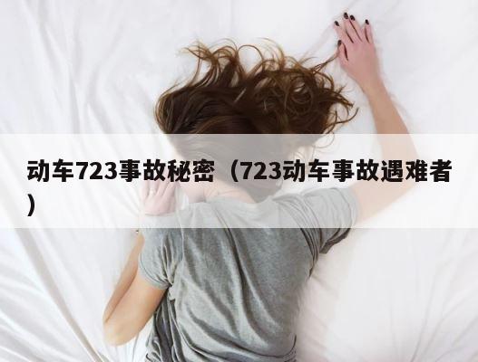 动车723事故秘密（723动车事故遇难者） 第1张