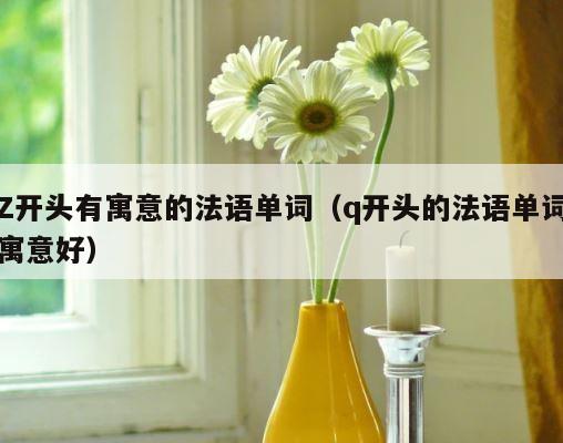 Z开头有寓意的法语单词（q开头的法语单词寓意好） 第1张
