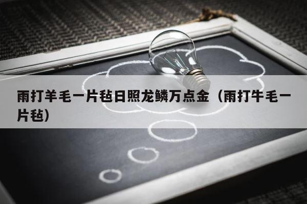 雨打羊毛一片毡日照龙鳞万点金（雨打牛毛一片毡） 第1张
