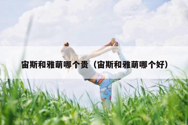 宙斯和雅萌哪个贵（宙斯和雅萌哪个好） 第1张