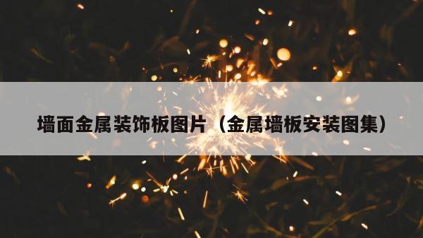 墙面金属装饰板图片（金属墙板安装图集） 第1张