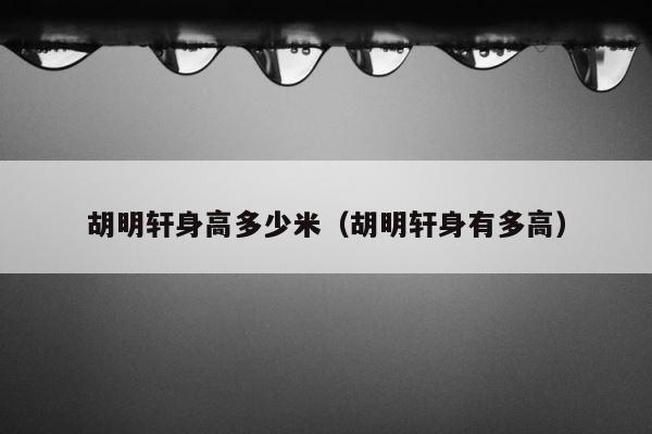 胡明轩身高多少米（胡明轩身有多高） 第1张