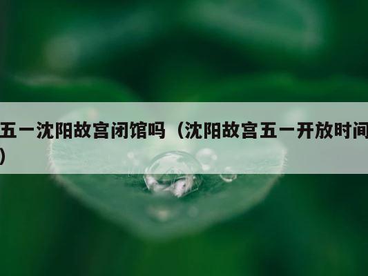 五一沈阳故宫闭馆吗（沈阳故宫五一开放时间） 第1张
