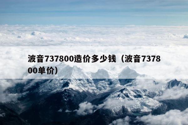波音737800造价多少钱（波音737800单价） 第1张