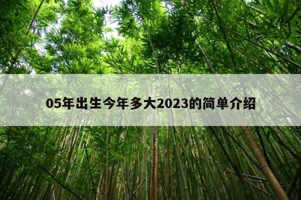 05年出生今年多大2023的简单介绍 第1张