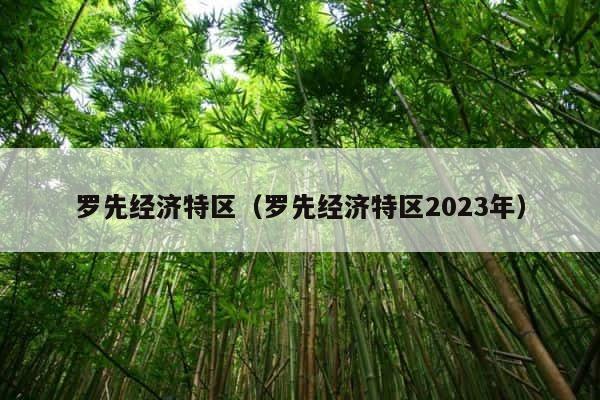罗先经济特区（罗先经济特区2023年） 第1张