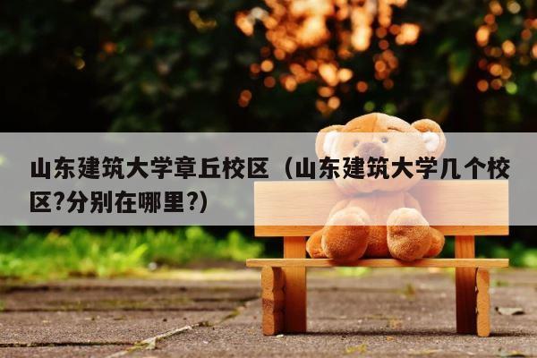 山东建筑大学章丘校区（山东建筑大学几个校区?分别在哪里?） 第1张