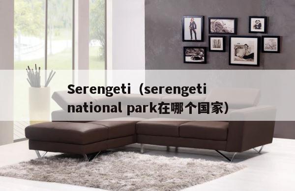 Serengeti（serengeti national park在哪个国家） 第1张