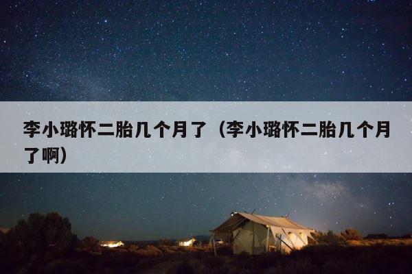 李小璐怀二胎几个月了（李小璐怀二胎几个月了啊） 第1张