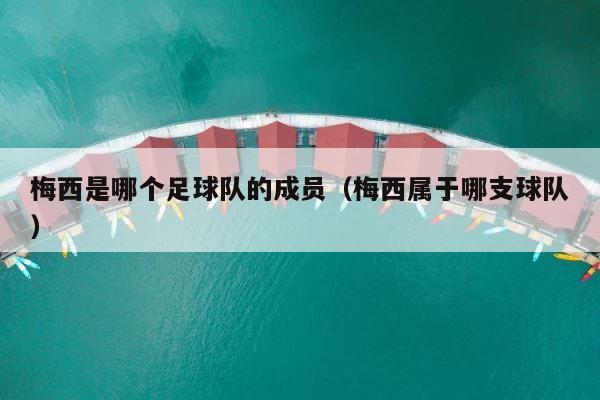 梅西是哪个足球队的成员（梅西属于哪支球队） 第1张