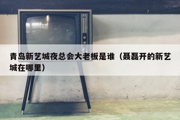 青岛新艺城夜总会大老板是谁（聂磊开的新艺城在哪里） 第1张