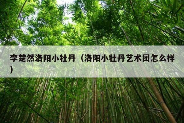 李楚然洛阳小牡丹（洛阳小牡丹艺术团怎么样） 第1张