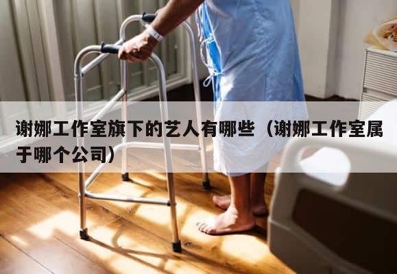 谢娜工作室旗下的艺人有哪些（谢娜工作室属于哪个公司） 第1张