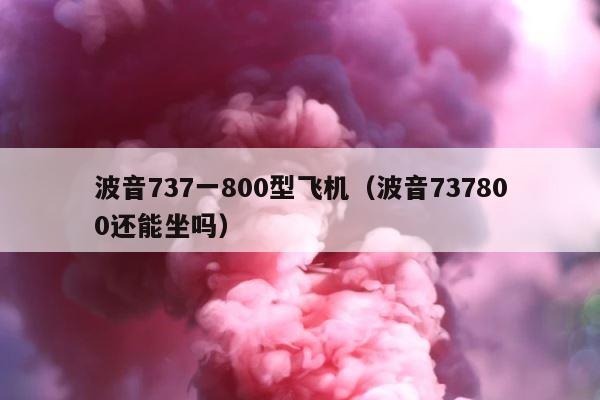 波音737一800型飞机（波音737800还能坐吗） 第1张