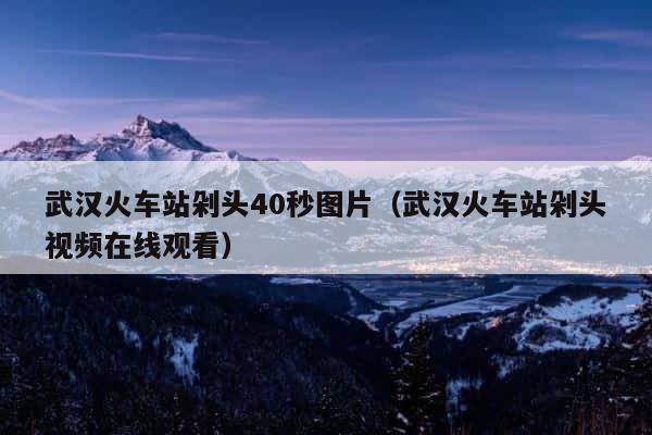 武汉火车站剁头40秒图片（武汉火车站剁头视频在线观看） 第1张