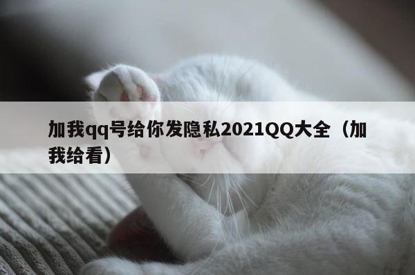 加我qq号给你发隐私2021QQ大全（加我给看） 第1张
