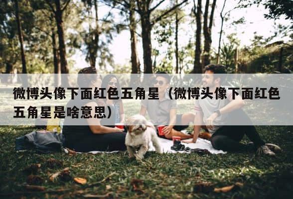微博头像下面红色五角星（微博头像下面红色五角星是啥意思） 第1张
