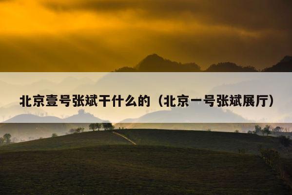 北京壹号张斌干什么的（北京一号张斌展厅） 第1张