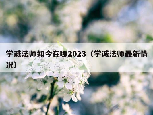 学诚法师如今在哪2023（学诚法师最新情况） 第1张