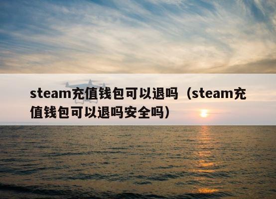 steam充值钱包可以退吗（steam充值钱包可以退吗安全吗） 第1张