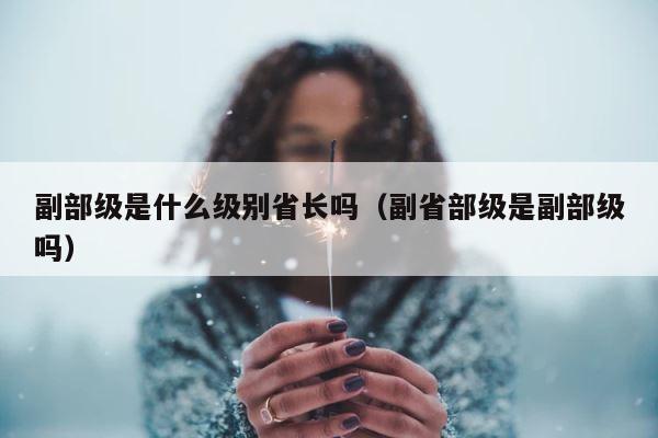 副部级是什么级别省长吗（副省部级是副部级吗） 第1张