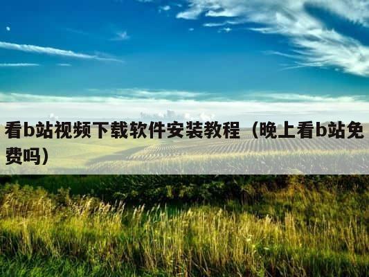 看b站视频下载软件安装教程（晚上看b站免费吗） 第1张
