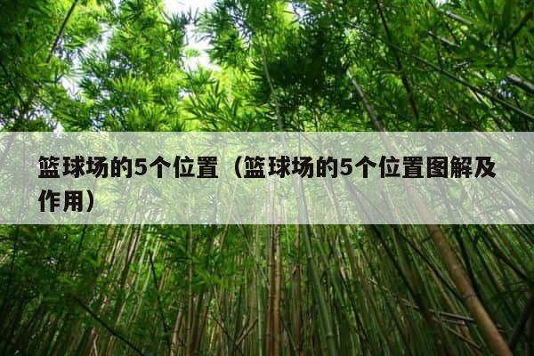 篮球场的5个位置（篮球场的5个位置图解及作用） 第1张