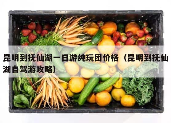 昆明到抚仙湖一日游纯玩团价格（昆明到抚仙湖自驾游攻略） 第1张