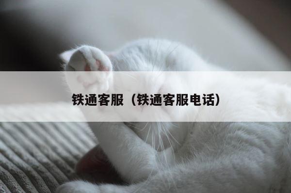 铁通客服（铁通客服电话） 第1张