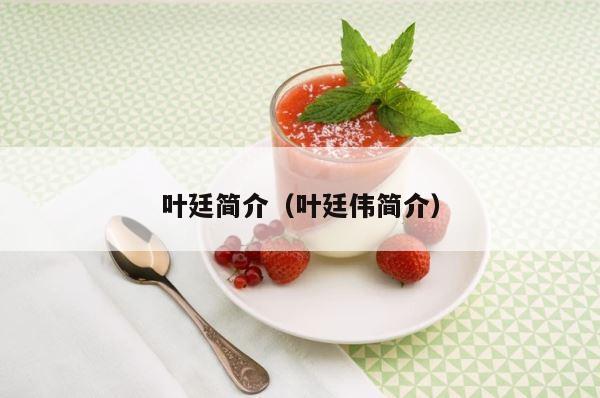 叶廷简介（叶廷伟简介） 第1张