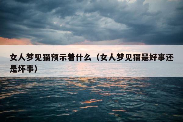 女人梦见猫预示着什么（女人梦见猫是好事还是坏事） 第1张
