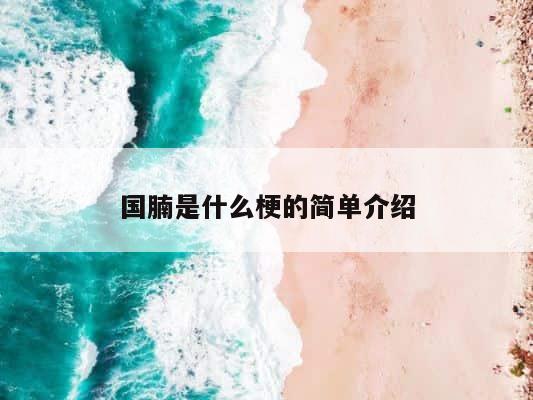 国腩是什么梗的简单介绍 第1张