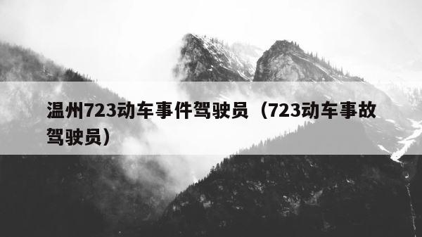 温州723动车事件驾驶员（723动车事故驾驶员） 第1张