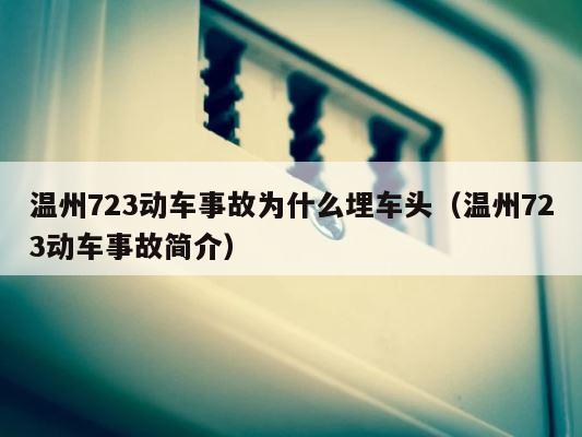 温州723动车事故为什么埋车头（温州723动车事故简介） 第1张