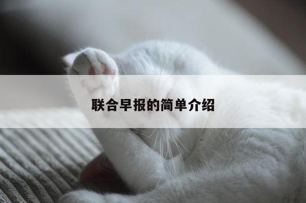 联合早报的简单介绍 第1张