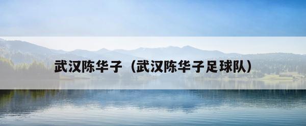 武汉陈华子（武汉陈华子足球队） 第1张