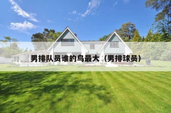 男排队员谁的鸟最大（男排球员） 第1张