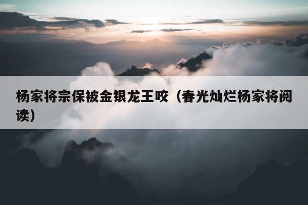 杨家将宗保被金银龙王咬（春光灿烂杨家将阅读） 第1张