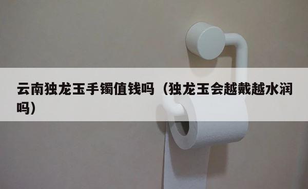 云南独龙玉手镯值钱吗（独龙玉会越戴越水润吗） 第1张